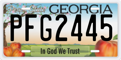 GA license plate PFG2445
