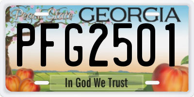 GA license plate PFG2501