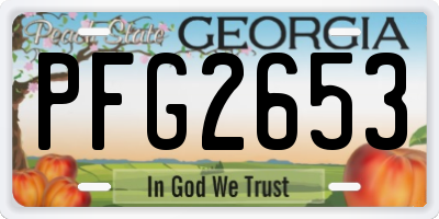 GA license plate PFG2653