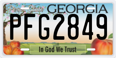 GA license plate PFG2849
