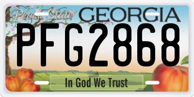 GA license plate PFG2868