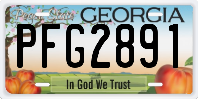 GA license plate PFG2891