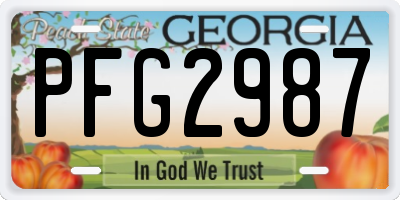 GA license plate PFG2987