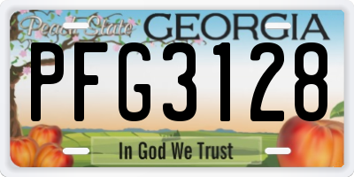 GA license plate PFG3128