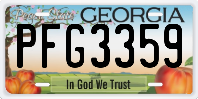 GA license plate PFG3359