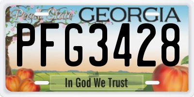 GA license plate PFG3428