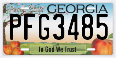 GA license plate PFG3485