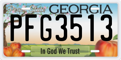 GA license plate PFG3513
