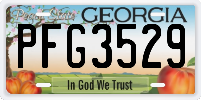 GA license plate PFG3529