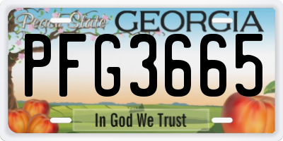 GA license plate PFG3665