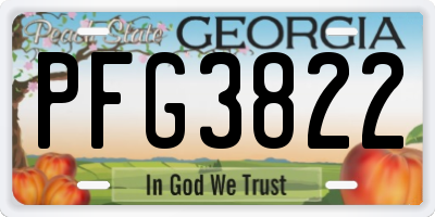 GA license plate PFG3822