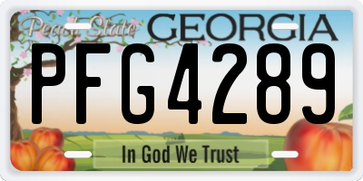 GA license plate PFG4289