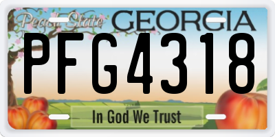 GA license plate PFG4318