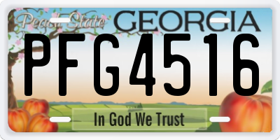 GA license plate PFG4516
