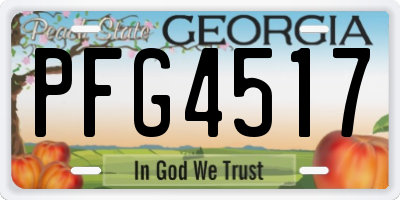 GA license plate PFG4517