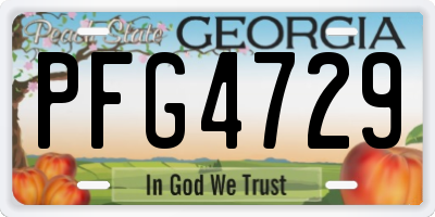 GA license plate PFG4729