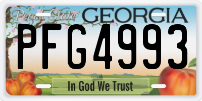 GA license plate PFG4993