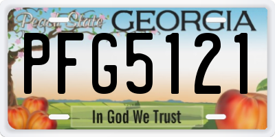 GA license plate PFG5121