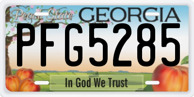 GA license plate PFG5285