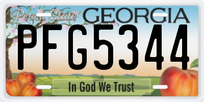 GA license plate PFG5344