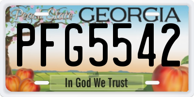 GA license plate PFG5542
