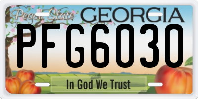 GA license plate PFG6030