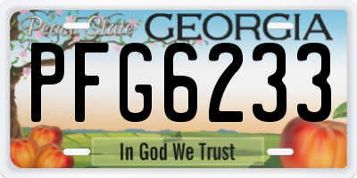 GA license plate PFG6233