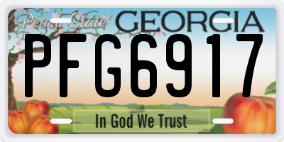 GA license plate PFG6917