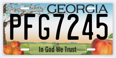 GA license plate PFG7245