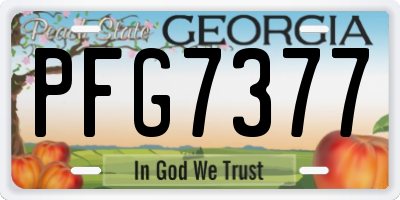 GA license plate PFG7377