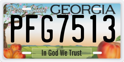 GA license plate PFG7513