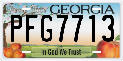 GA license plate PFG7713