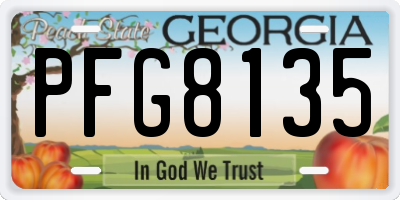 GA license plate PFG8135
