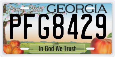 GA license plate PFG8429