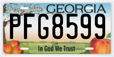 GA license plate PFG8599