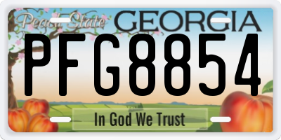 GA license plate PFG8854