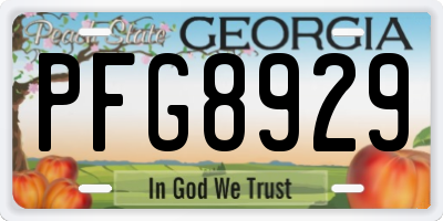 GA license plate PFG8929