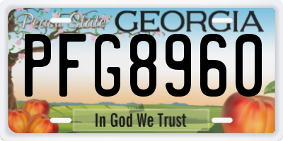 GA license plate PFG8960