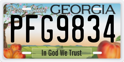 GA license plate PFG9834