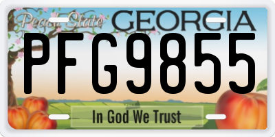 GA license plate PFG9855
