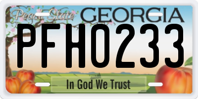 GA license plate PFH0233