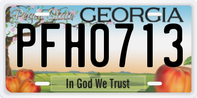 GA license plate PFH0713