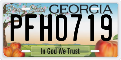 GA license plate PFH0719