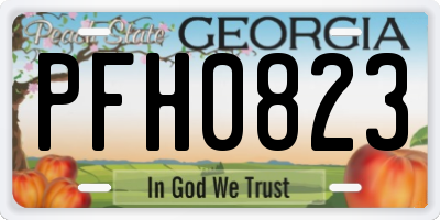 GA license plate PFH0823