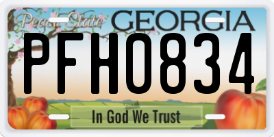 GA license plate PFH0834