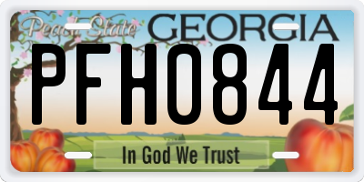 GA license plate PFH0844