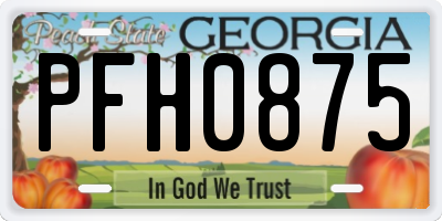 GA license plate PFH0875