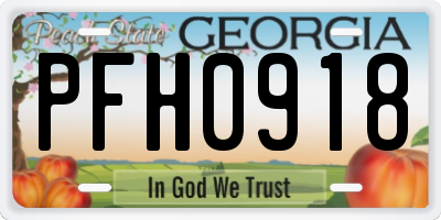 GA license plate PFH0918