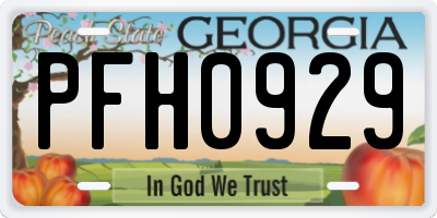 GA license plate PFH0929