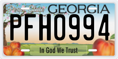 GA license plate PFH0994